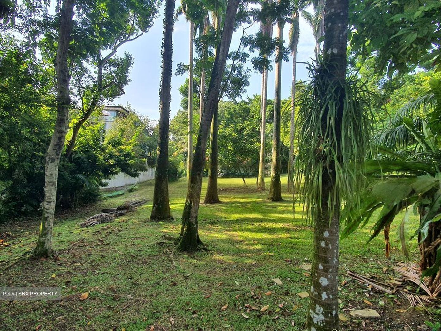 Raffles Park (D11), Detached #468796441
